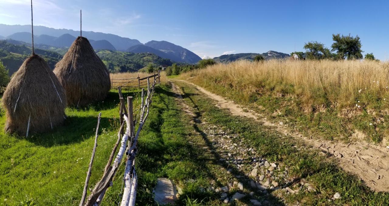 Pensiunea Tabacaru Peştera Exterior foto